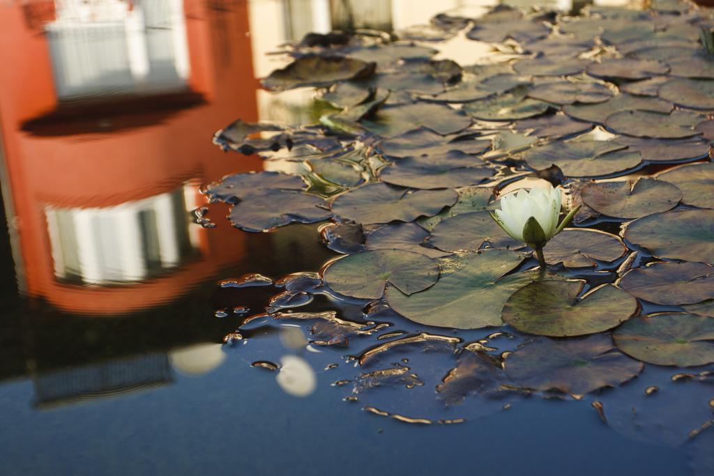 Szonyi Garden Hotel Pest บูดาเปสต์ ภายนอก รูปภาพ