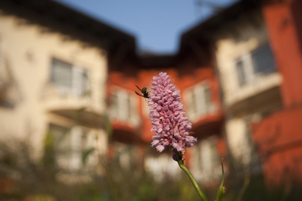Szonyi Garden Hotel Pest บูดาเปสต์ ภายนอก รูปภาพ